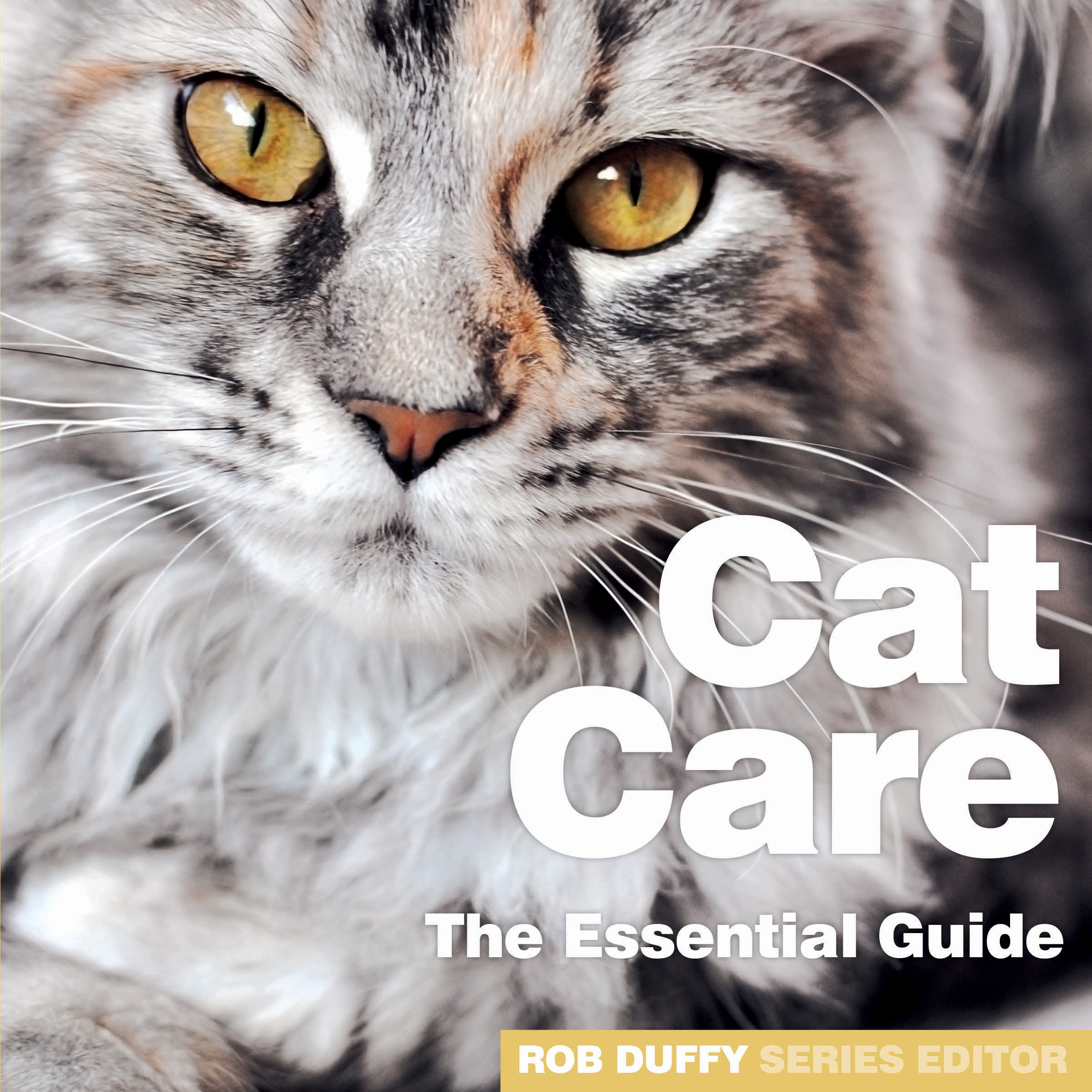 C2_Cat-Care-The-Essential-Guide